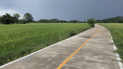 ที่ดิน 3ไร่กว่า ติดถนนคอนกรีต บรรยากาศทุ่งนา