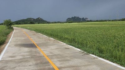 ที่ดิน 3ไร่กว่า ติดถนนคอนกรีต บรรยากาศทุ่งนา