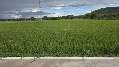 ที่ดิน 3ไร่กว่า ติดถนนคอนกรีต บรรยากาศทุ่งนา