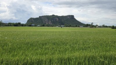 ที่ดิน 3ไร่กว่า ติดถนนคอนกรีต บรรยากาศทุ่งนา