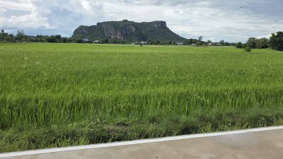 ที่ดิน 3ไร่กว่า ติดถนนคอนกรีต บรรยากาศทุ่งนา