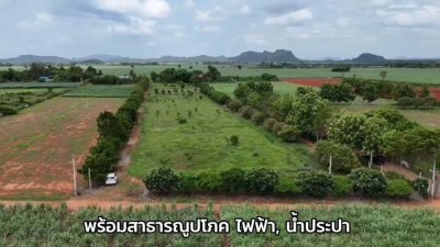 ที่ดินโฉนด 5 ไร่ มีไฟฟ้า น้ำประปา ถนนสาธารณะ
