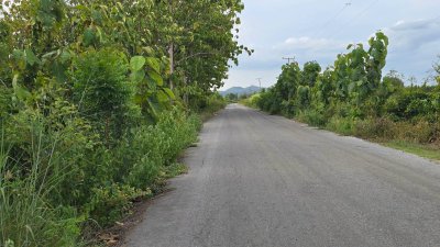 ที่ดินติดถนนลาดยาง 1 ไร่ 550,000.- อ.ด่านมะขามเตี้ย จ.กาญจนบุรี