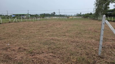ที่ดิน 300 ตร.วา ราคา 520,000 บาท ต.หนองกวาง อ.โพธาราม จ.ราชบุรี