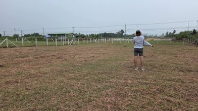 ที่ดิน 300 ตร.วา ราคา 520,000 บาท ต.หนองกวาง อ.โพธาราม จ.ราชบุรี