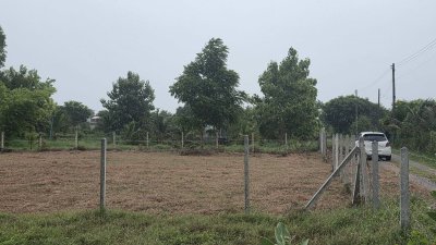 ที่ดิน 300 ตร.วา ราคา 520,000 บาท ต.หนองกวาง อ.โพธาราม จ.ราชบุรี