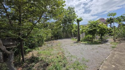 โฉนด 1 ไร่ พร้อมบ้าน 3 ห้องนอน 4 ห้องน้ำ ถมเนินสูง ต้นไม้ร่มรื่น วิวเขาทะลุมิติ