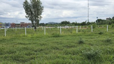 ที่ดินใกล้ถนน 4 เลน 150 ตร.วา 650,000.- ถนนคอนกรีต ไฟฟ้า น้ำประปาภูมิภาค
