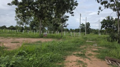 ที่ดินใกล้ถนน 4 เลน 150 ตร.วา 650,000.- ถนนคอนกรีต ไฟฟ้า น้ำประปาภูมิภาค