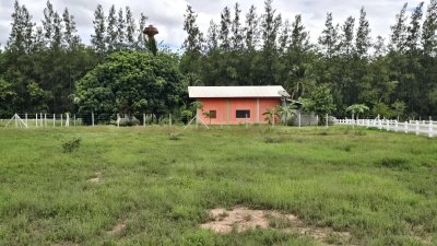 ที่ดินใกล้ถนนทางหลวง เขตชุมชน วัด โรงเรียน ต.ปากช่อง อ.จอมบึง จ.ราชบุรี