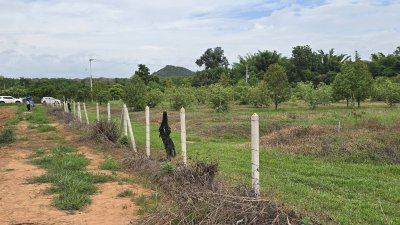 สวนทุเรียนพร้อมเก็บผลผลิต 2 ไร่ ต.หนองกวาง อ.โพธาราม จ.ราชบุรี