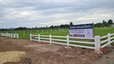 ที่ดินติดถนนทางหลวงชนบท เริ่มต้น 780,000.- เหมาะ ค้าขาย ที่อยู่อาศัย ซื้อเก็บ
