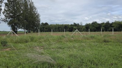 ที่ดินทำเล: ใกล้ถนนบ้านหนองกวาง-บ้านปากบึง รพ.สมเด็จพระยุพราช 7 กม.