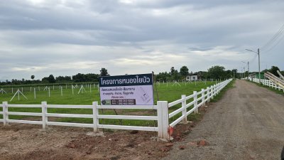 ที่ดินติดถนนทางหลวงชนบท เริ่มต้น 780,000.- เหมาะ ค้าขาย ที่อยู่อาศัย ซื้อเก็บ