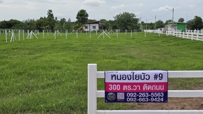 ที่ดินติดถนนทางหลวงชนบท เริ่มต้น 780,000.- เหมาะ ค้าขาย ที่อยู่อาศัย ซื้อเก็บ