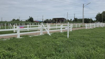 ที่ดินผ่อน 250 ตร.วา ต.หนองกวาง อ.โพธาราม จ.ราชบุรี