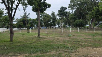 โปรโมชั่น สิงหาคมนี้ลด 300,000.- ที่ดินสวนพฤกษา จอมบึงค้นทรี่คลับ
