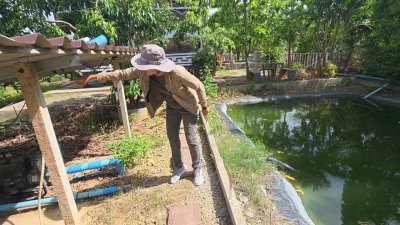 บ้านสวนเกษตร บ้าน 2 หลัง เนื้อที่ 4 ไร่ 60 ตร.วา อ.โพธาราม จ.ราชบุรี