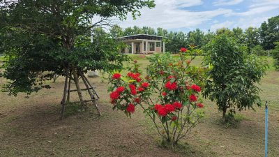บ้านสวนบรรยากาศดี ติดภูเขา ตอบโจทย์คนมองหาบ้านพักผ่อนหรือบ้านวัยเกษียณ สงบร่มรื่น