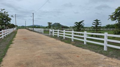 300 ตร.วา 650,000.- ไฟฟ้า น้ำประปา ถนนคอนกรีต