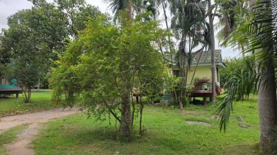 บ้านพักรีสอร์ท อ่างเก็บน้ำชัฏป่าหวาย บรรยากาศร่มรื่น ทำเลและการเดินทางสะดวก
