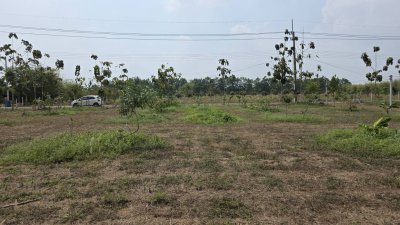 ที่ดินติดภูเขา ท่ามกลางพื้นที่เกษตร ใกล้ชุมชนหมู่บ้าน