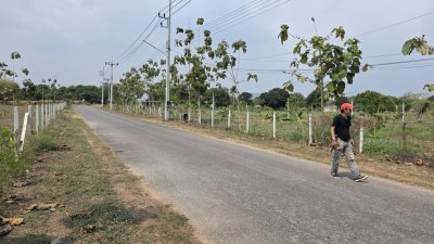 ที่ดินติดภูเขา ท่ามกลางพื้นที่เกษตร ใกล้ชุมชนหมู่บ้าน