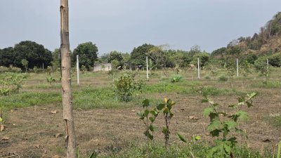 ที่ดินติดภูเขา ท่ามกลางพื้นที่เกษตร ใกล้ชุมชนหมู่บ้าน