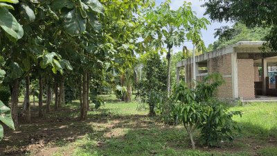 บ้านสวนบรรยากาศดี ติดภูเขา ตอบโจทย์คนมองหาบ้านพักผ่อนหรือบ้านวัยเกษียณ
