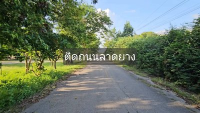 โฉนดครุฑแดงพร้อมโอน เนื้อที่ 2 ไร่ ราคาไร่ละ 350,000 บาท