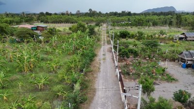 ที่ดินโฉนด ปรับถมแล้ว 300 ตร.วา สด-ผ่อน อ.จอมบึง จ.ราชบุรี