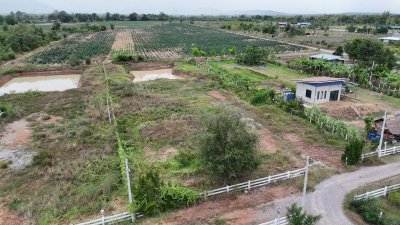 ที่ดินสด-ผ่อน 1 ไร่ 3 งาน ปรับถม ขุดสระน้ำ สด-ผ่อน