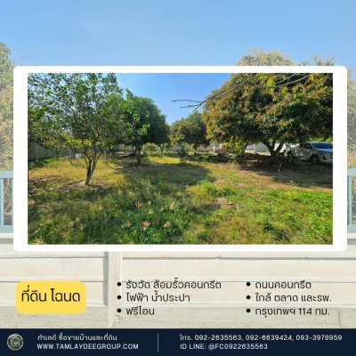 สวนมะม่วง 200 ตร.วา รั้วคอนกรีตสำเร็จรูป