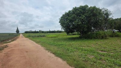 ที่ดินวิวเขา บ้านคา ราชบุรี ราคาไร่ละ 350,000 บาท