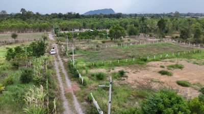 ที่ดินโฉนด ปรับถมแล้ว 300 ตร.วา สด-ผ่อน อ.จอมบึง จ.ราชบุรี