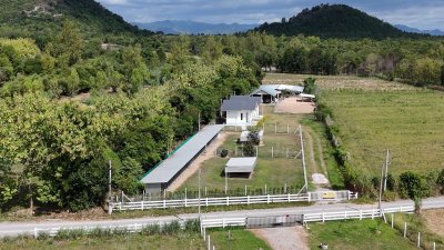 ที่ดินโฉนดพร้อมบ้านพัก 3 หลัง เนื้อที่ 2 ไร่ 61 ตร.วา 2,700,000.-