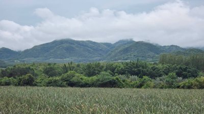 ที่ดินวิวเขา บ้านคา ราชบุรี ราคาไร่ละ 350,000 บาท