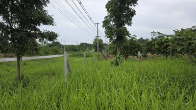 ขายที่ดินติดถนน บ้านคา ราชบุรี ไร่ละ 750,000 บาท