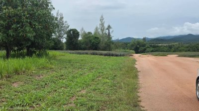 ที่ดินวิวเขา บ้านคา ราชบุรี ราคาไร่ละ 350,000 บาท