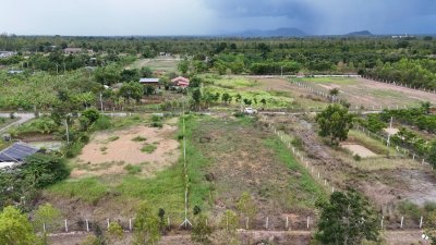 ที่ดินโฉนด ปรับถมแล้ว 300 ตร.วา สด-ผ่อน อ.จอมบึง จ.ราชบุรี