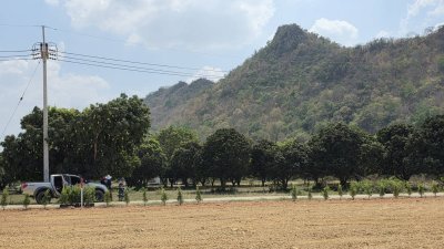 ที่โฉนด วิวภูเขาล้อม อ.โพธาราม จ.ราชบุรี