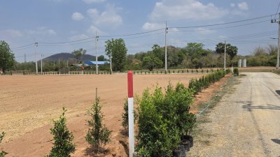 ที่โฉนด วิวภูเขาล้อม อ.โพธาราม จ.ราชบุรี