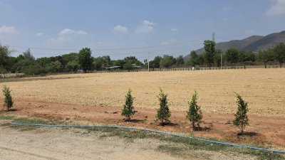 ที่โฉนด วิวภูเขาล้อม เหมาะกับคนชอบธรรม 1 ไร่ 850,000.-