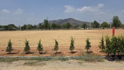 ที่โฉนด วิวภูเขาล้อม เหมาะกับคนชอบธรรม 1 ไร่ 850,000.-