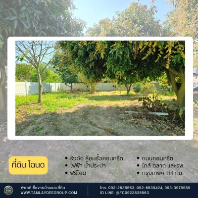 สวนมะม่วง 200 ตร.วา รั้วคอนกรีตสำเร็จรูป