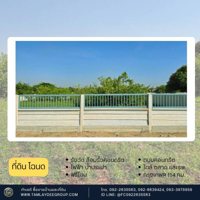ที่ดิน 200 ตร.วา รั้วคอนกรีตสำเร็จรูป ปลูกมะนาวท้ายแปลง