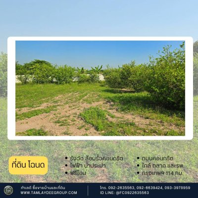 ที่ดิน 200 ตร.วา รั้วคอนกรีตสำเร็จรูป ปลูกมะนาวท้ายแปลง