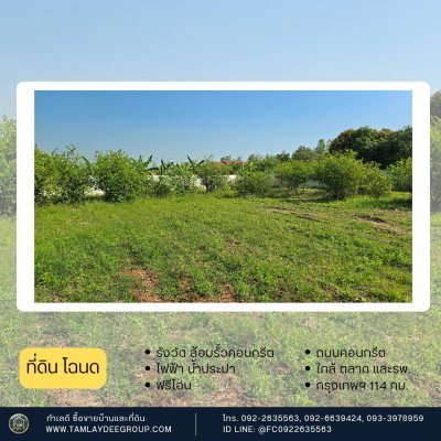 ที่ดิน 200 ตร.วา รั้วคอนกรีตสำเร็จรูป ปลูกมะนาวท้ายแปลง