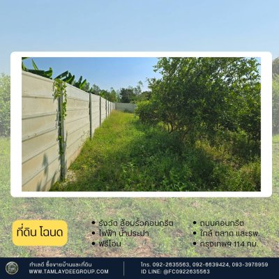 ที่ดิน 200 ตร.วา รั้วคอนกรีตสำเร็จรูป ปลูกมะนาวท้ายแปลง