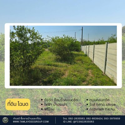 ที่ดิน 200 ตร.วา รั้วคอนกรีตสำเร็จรูป ปลูกมะนาวท้ายแปลง